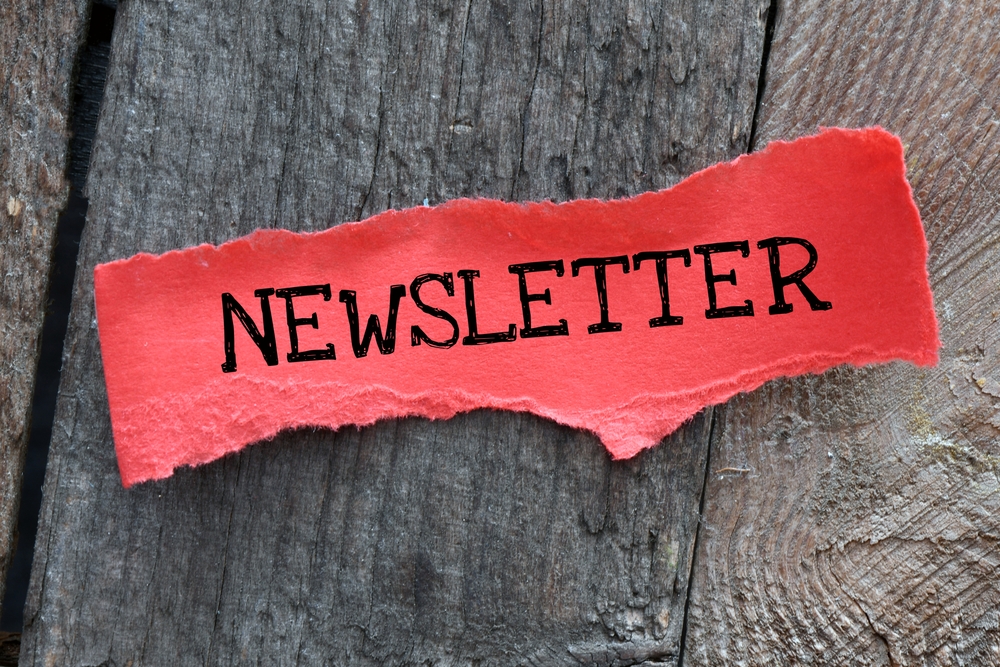 A torn red strip of paper with the word "newsletter" rests on a wood plank